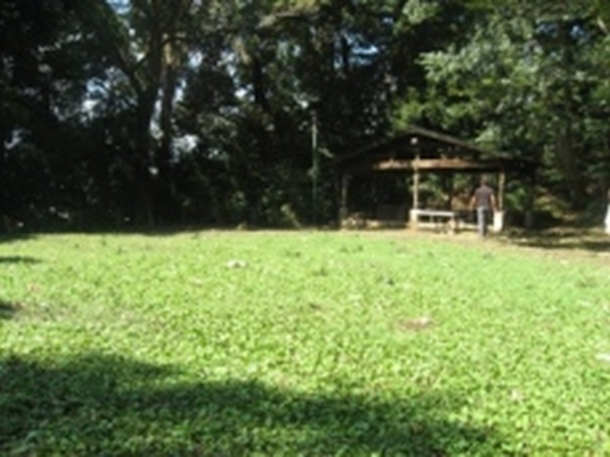 げんき村キャンプ場