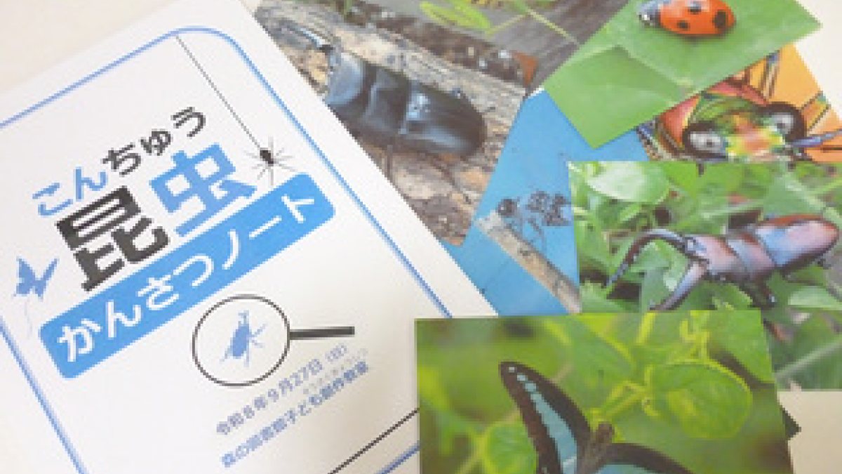 森の図書館 子ども創作教室「写真をあつめて昆虫かんさつノートをつくろう」